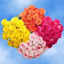 Prettiest Color Rose Long Stem Dozen Arranged